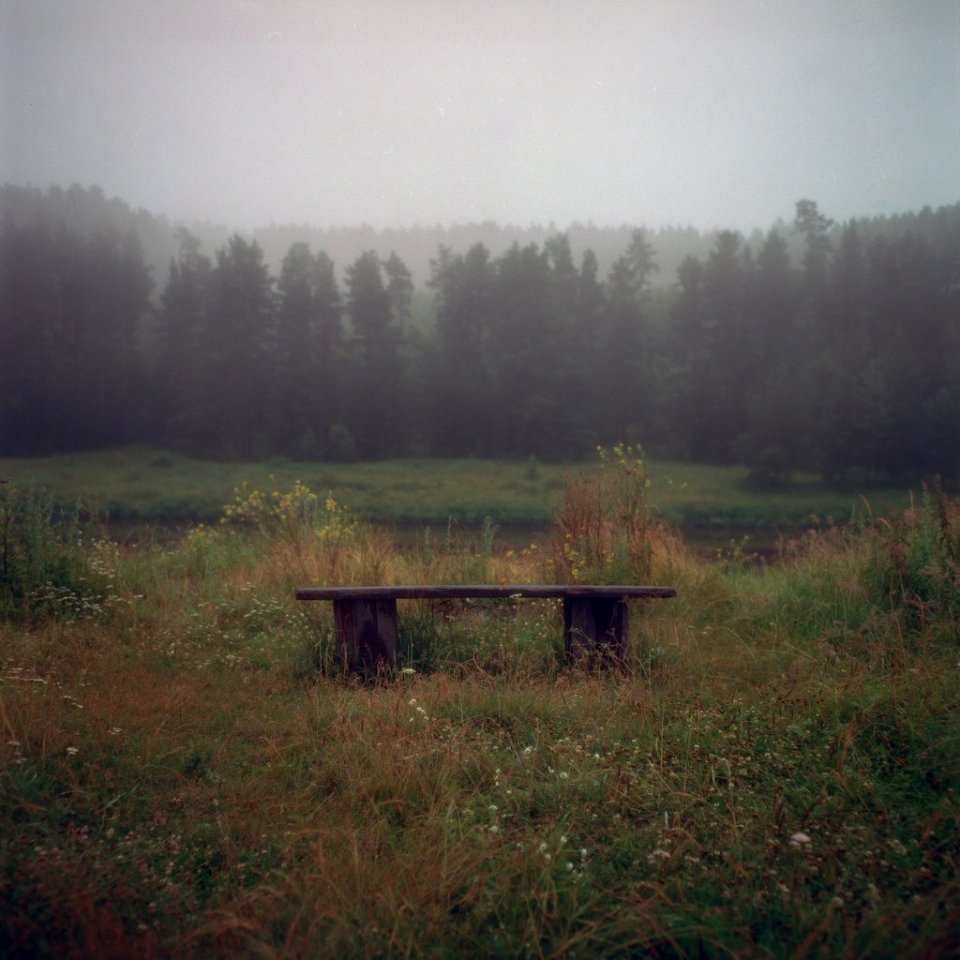 Заберите меня в деревню, туда, где живет мое детское счастье...