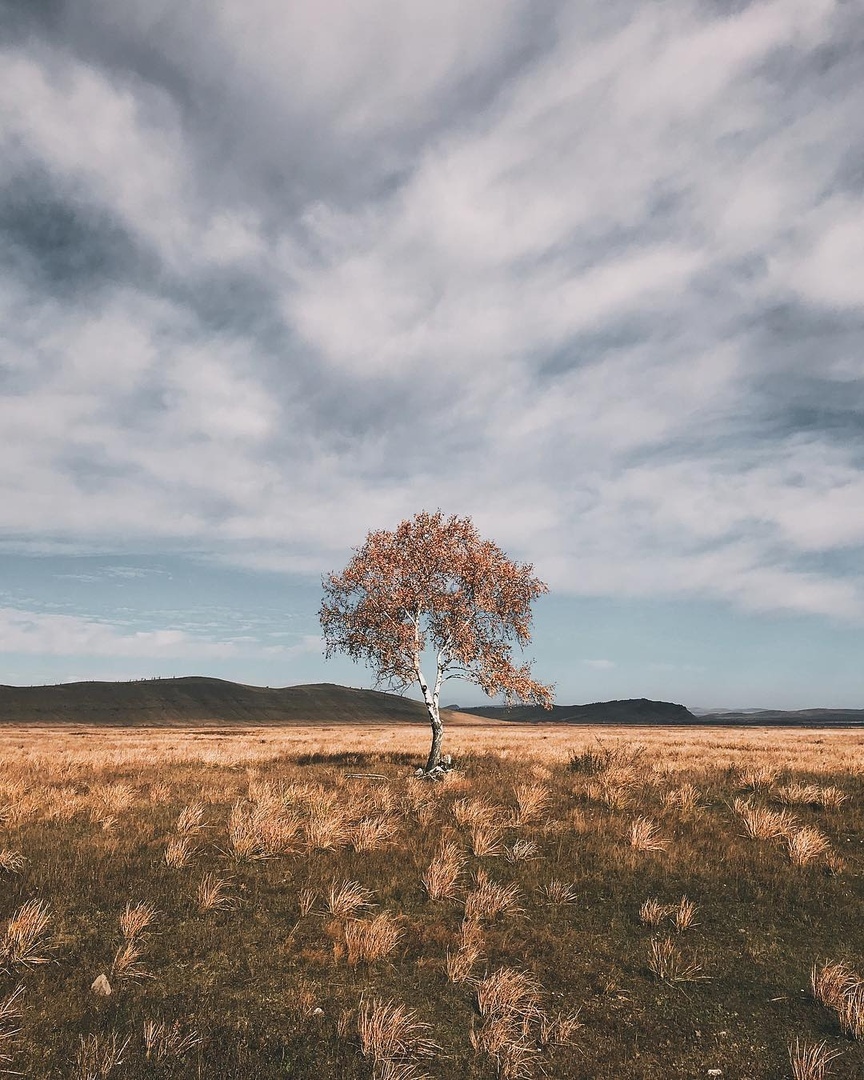 Сибирь дo пoжарoв