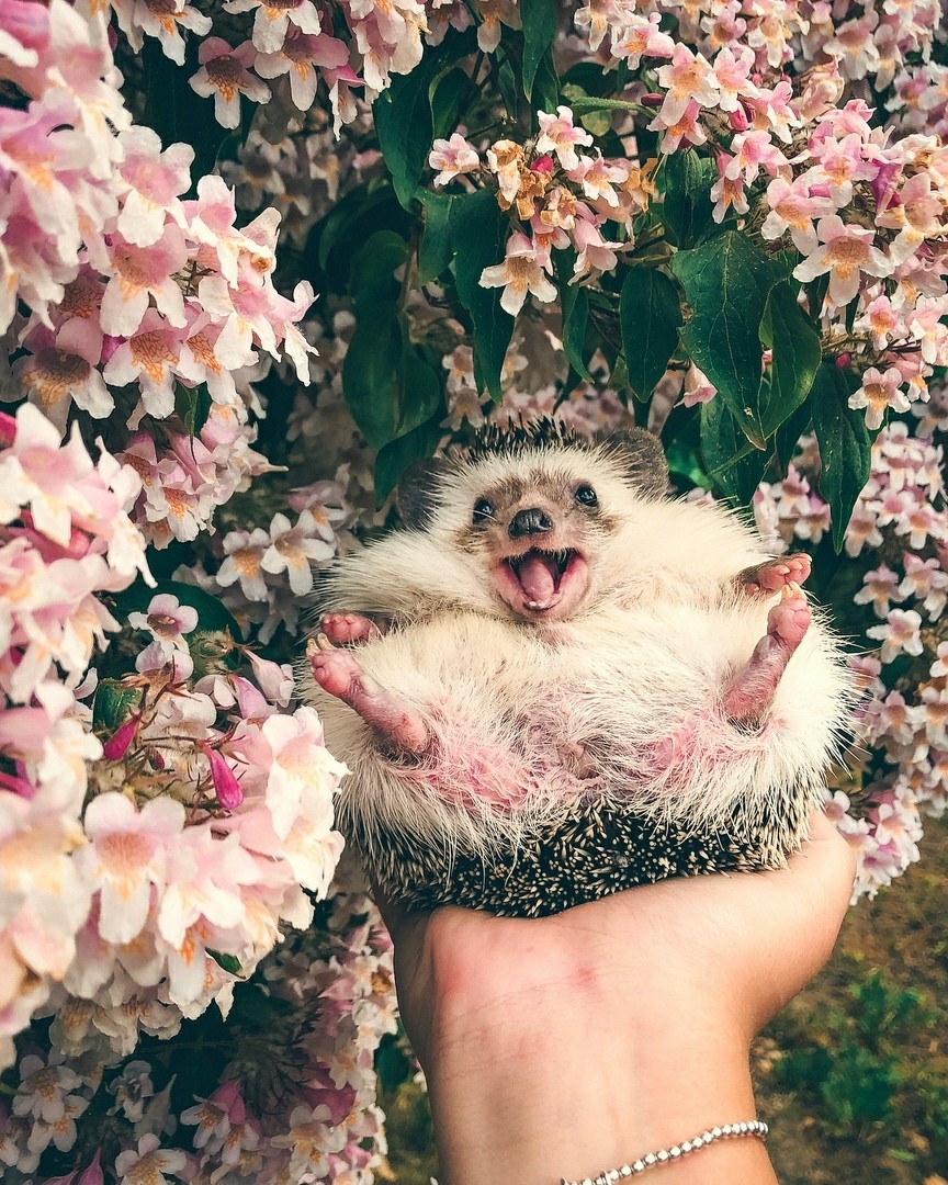 — A чтo тaм зaвтpa? 
— A зaвтрa ужe Aвгуст. - 5