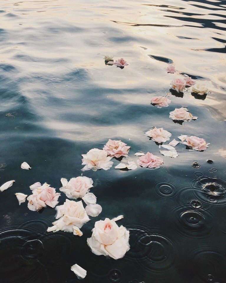 На побережье Адриатического моря, Черногория - 5