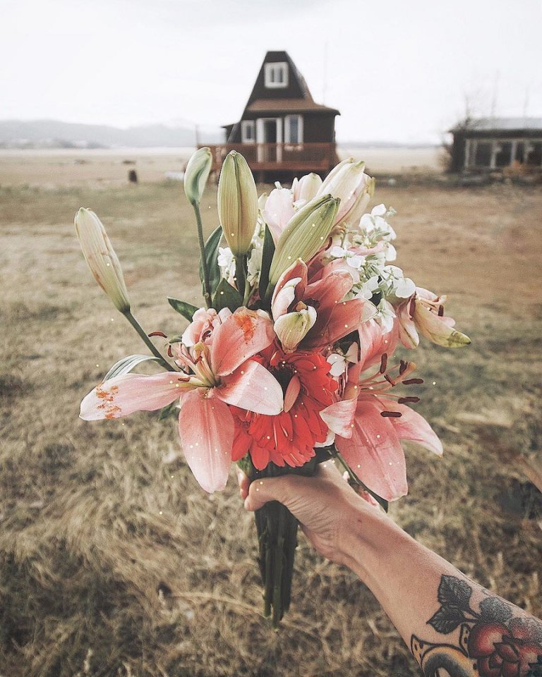 Август пахнет персиками, дынями и несбывшимися мечтами на лето.