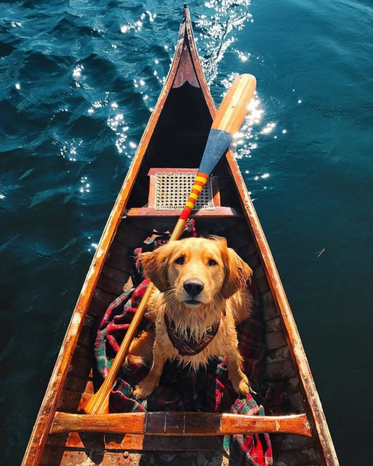 Живи с блеском в глазах, счастьем в душе и любовью в сердце!
