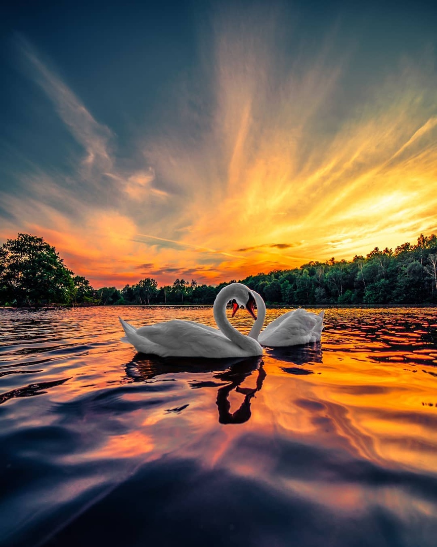 Потрясающие закаты в Северном Рейне