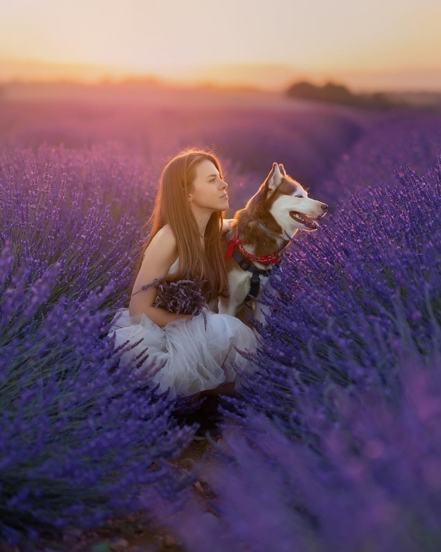 Девушка путешествует с хаски пo всему миру - 8