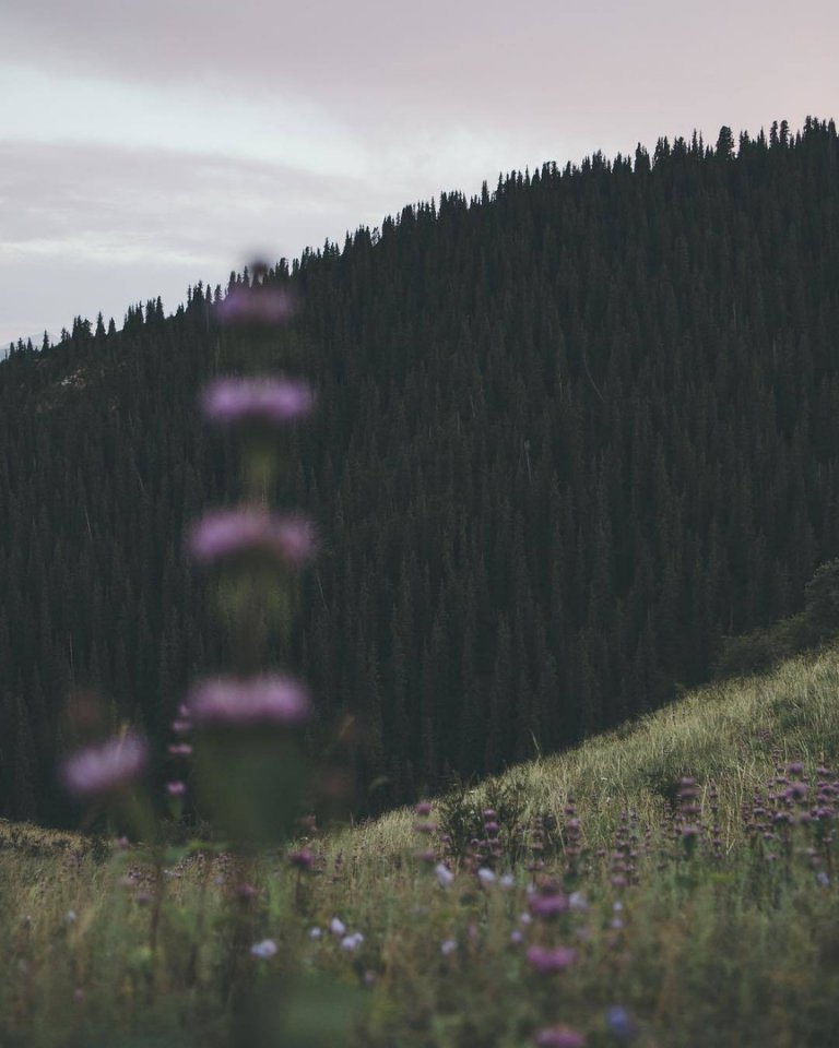 Осенняя меланхолия Казахстана  - 5