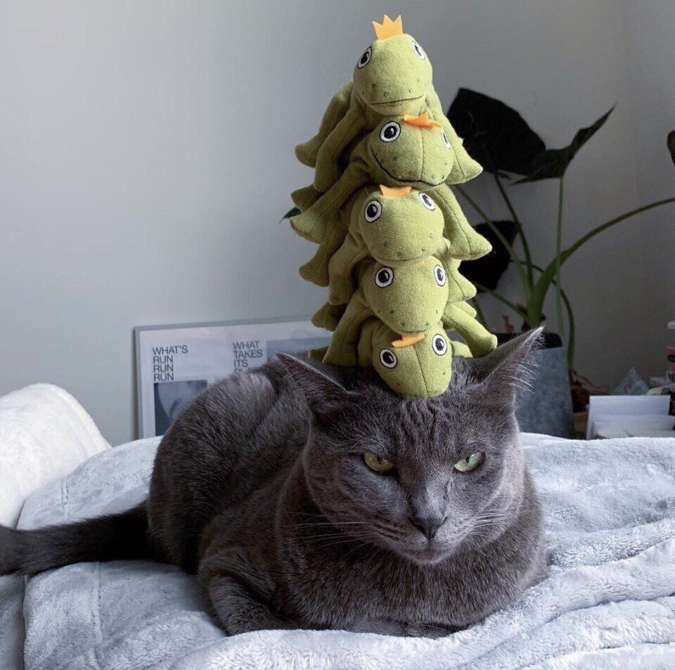 Я и дедлайны - 5