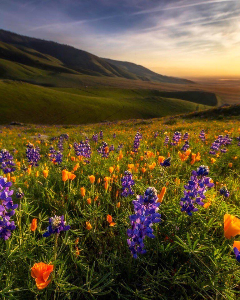 Запомните!
Сколько бы вам не было лет - это ��амый подходящий возраст, чтобы любить, мечтать и радоваться жизни...
