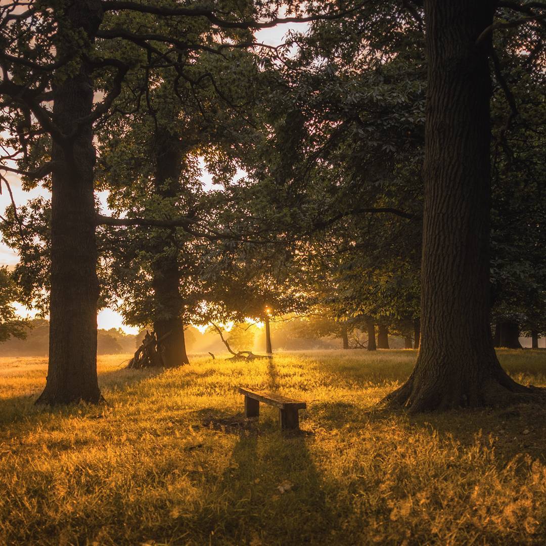 Научитесь дышать счастьем.
Оно в воздухе. Оно в мелочах.