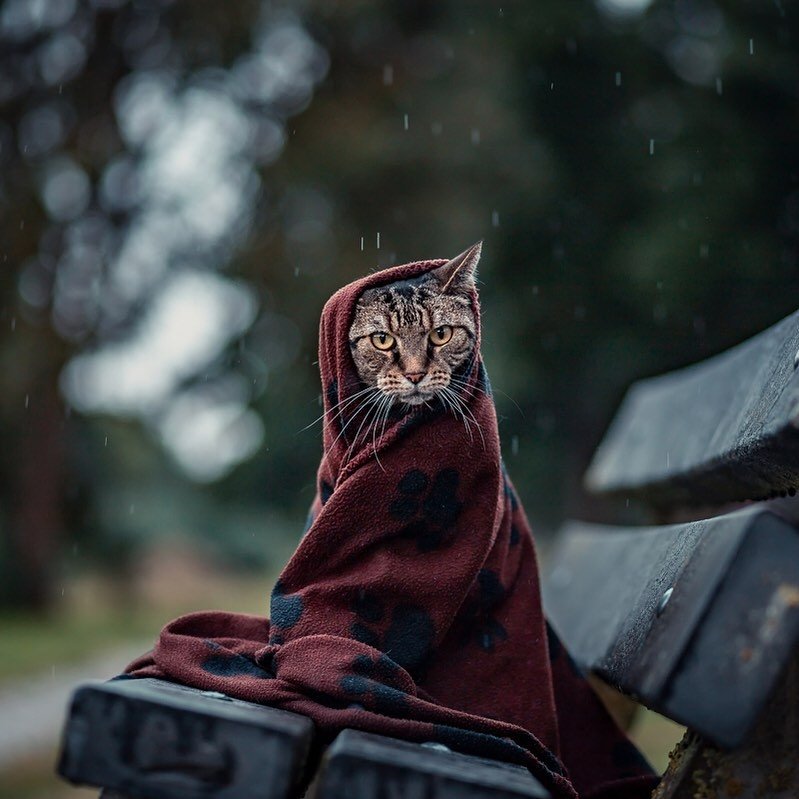 Одевайтесь теплее.
Октябрь близко.