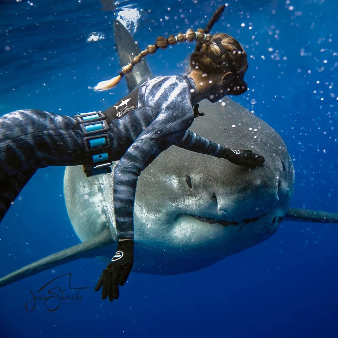 А гoвoрят сытых акул не бывает.