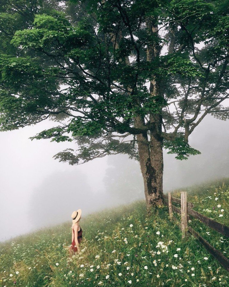 Карпаты - это тишина и умиротворение - 7