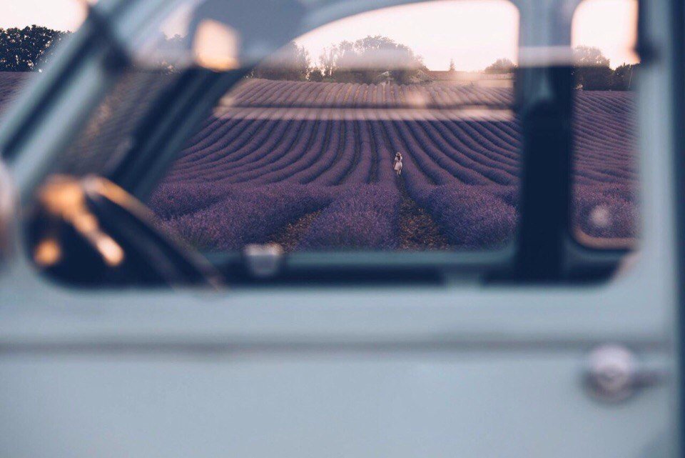 Лавандовые поля Прованса, Франция