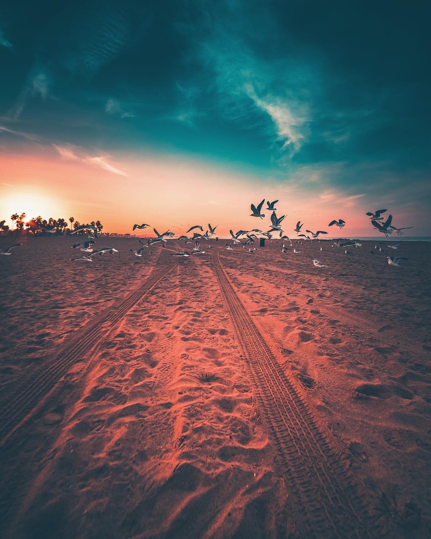 Побережье Калифорнии. США.