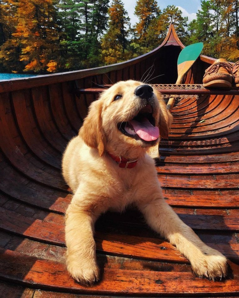 Живи с блеском в глазах, счастьем в душе и любовью в сердце! - 8