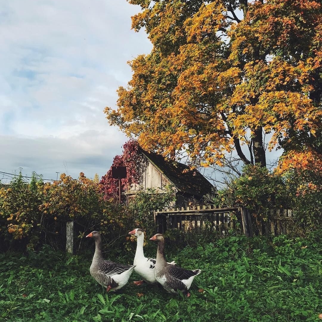 Каждая секунда в моей жизни - Счастье! - 5