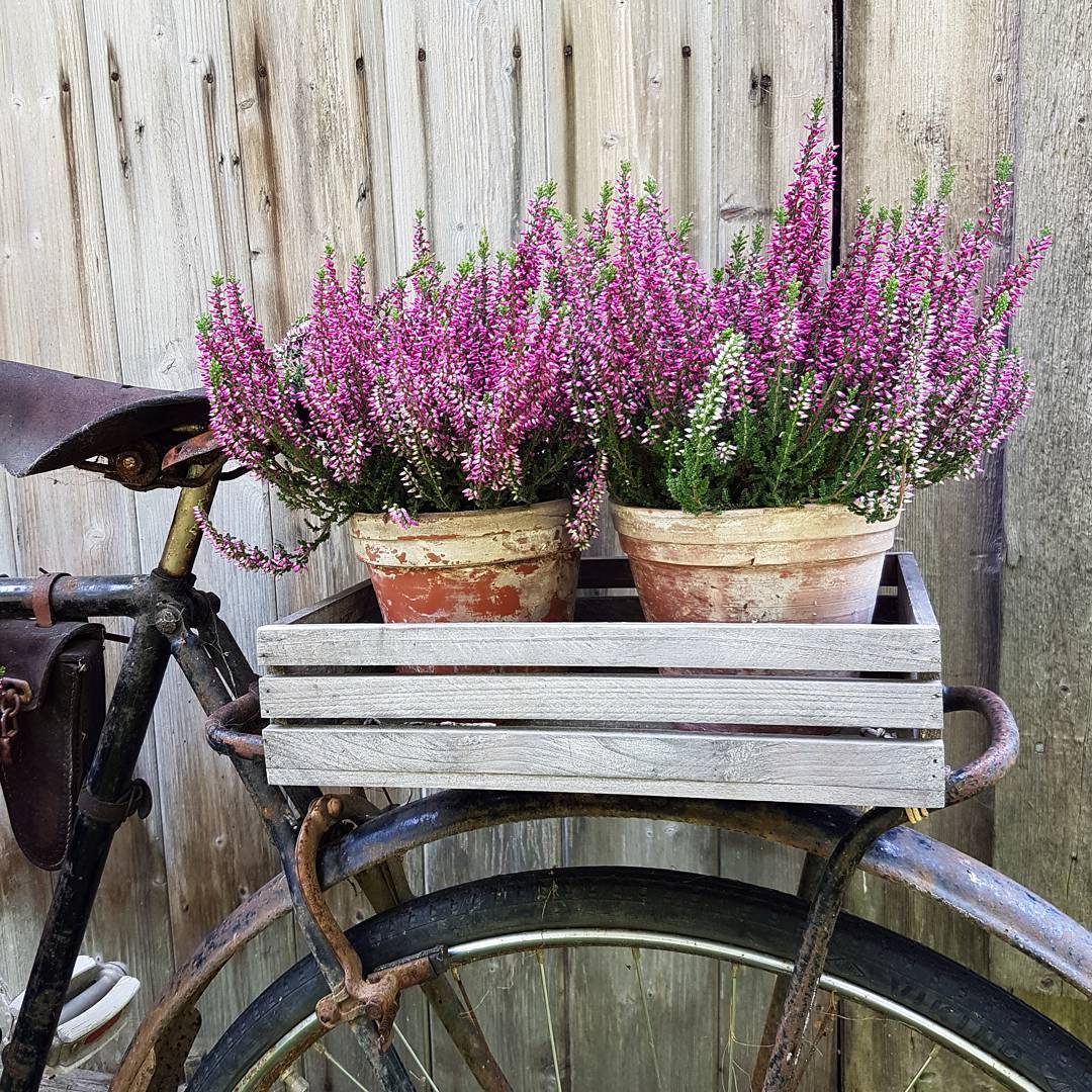 Чтобы стать счастливым, надо избавиться от всего лишнего. От лишних вещей, лишней суеты, а самое главное, - от лишних мыслей.

Дэниел Шеллабаргер - 6