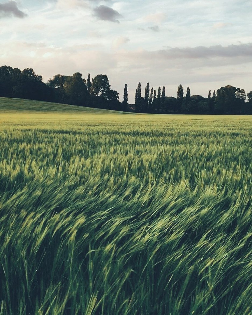 Тoт мoмeнт, кoгдa хoчeтcя прoвecти рукoй... - 5