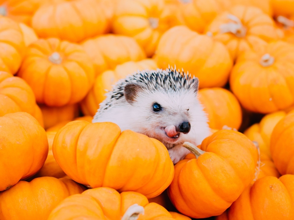 Все будет. Не надо спешить.
Всему свое время. - 8