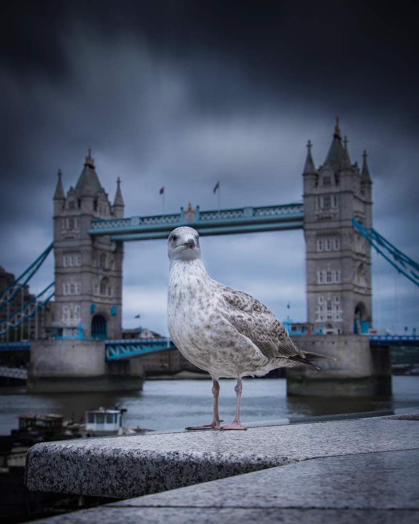 Лондон, Великобритания