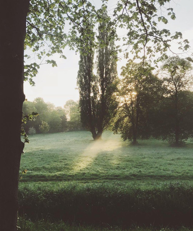 Ну разве Франция не великолепна? - 7