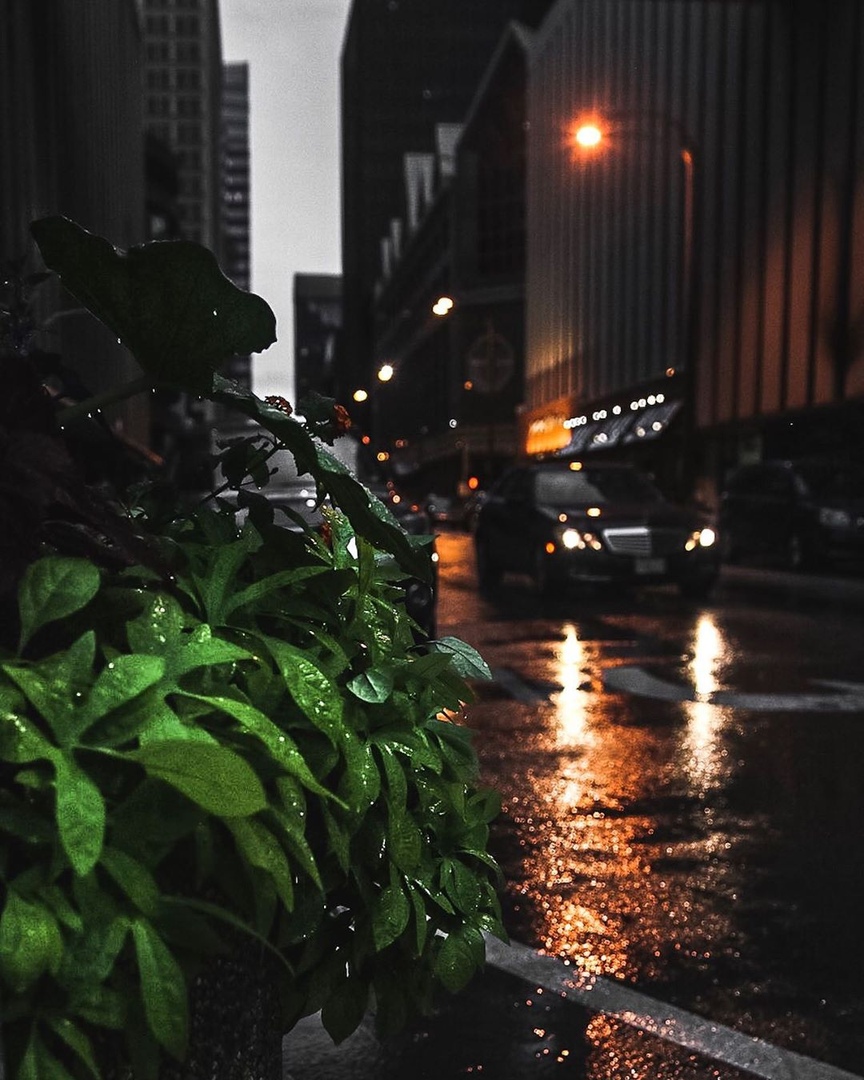 Сент-Луис, США