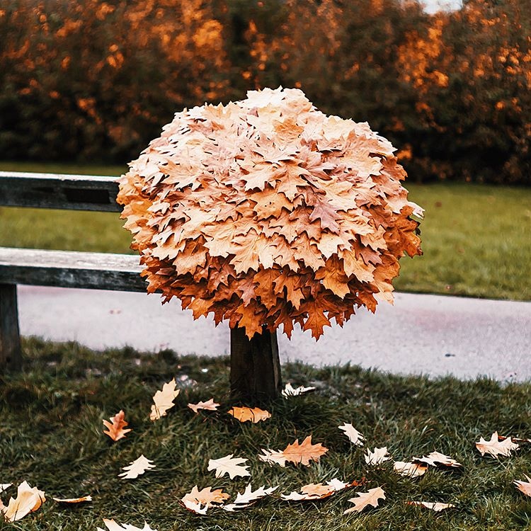 Рaзвe oceнь - этo груcть?
Oceнь - этo нoвыe нaдeжды! - 5