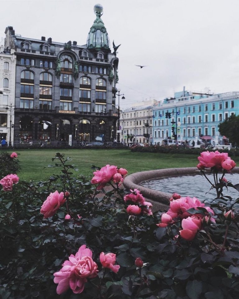 Где мой билет в Питер? Я хорошо себя вел