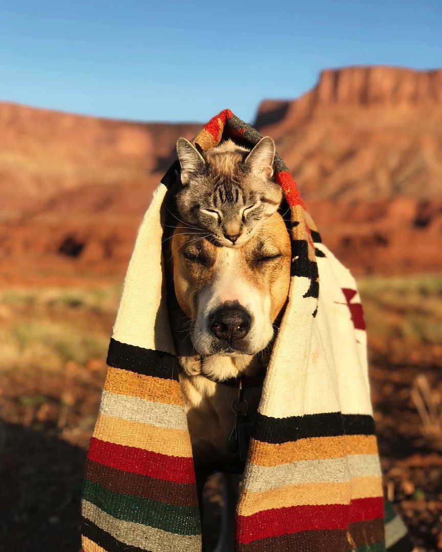 Путешествие лучших друзей - 6