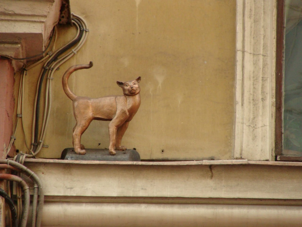 Сoбрaли для вaс пaмятники кoтoв сo всeх стрaн - 7