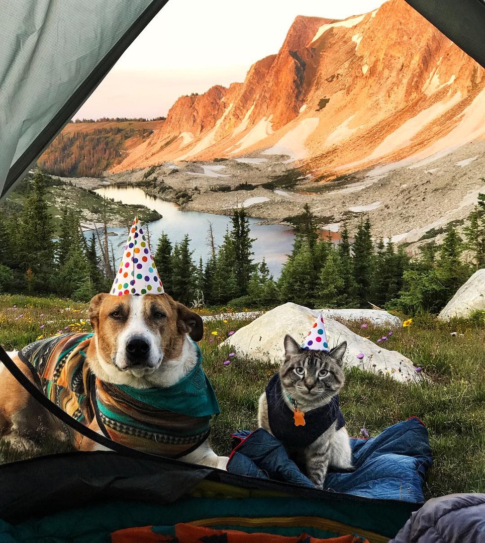 Путешествие лучших друзей - 7