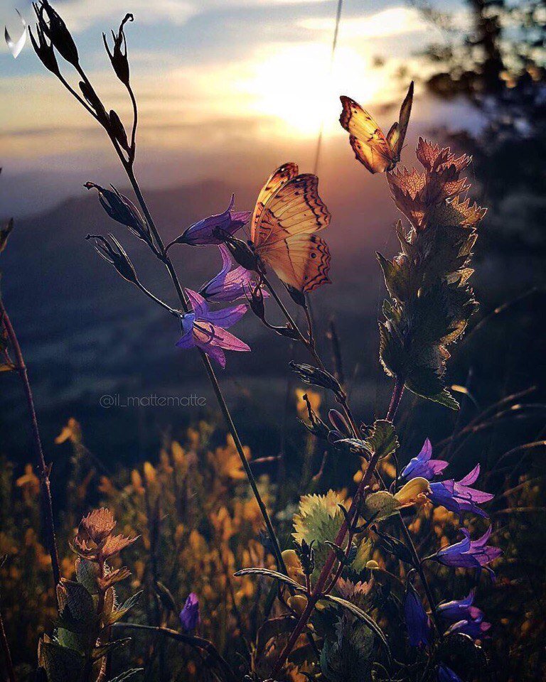 Каждая секунда в моей жизни - Счастье!