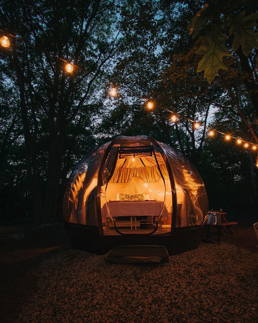 Счастливые вечера