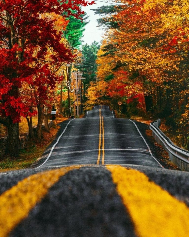 Не откладывайте счастье на завтра!
Спешит�� жить, видеть, чувствовать, радоваться!
Сегодня, сейчас, в эту минуту! - 5