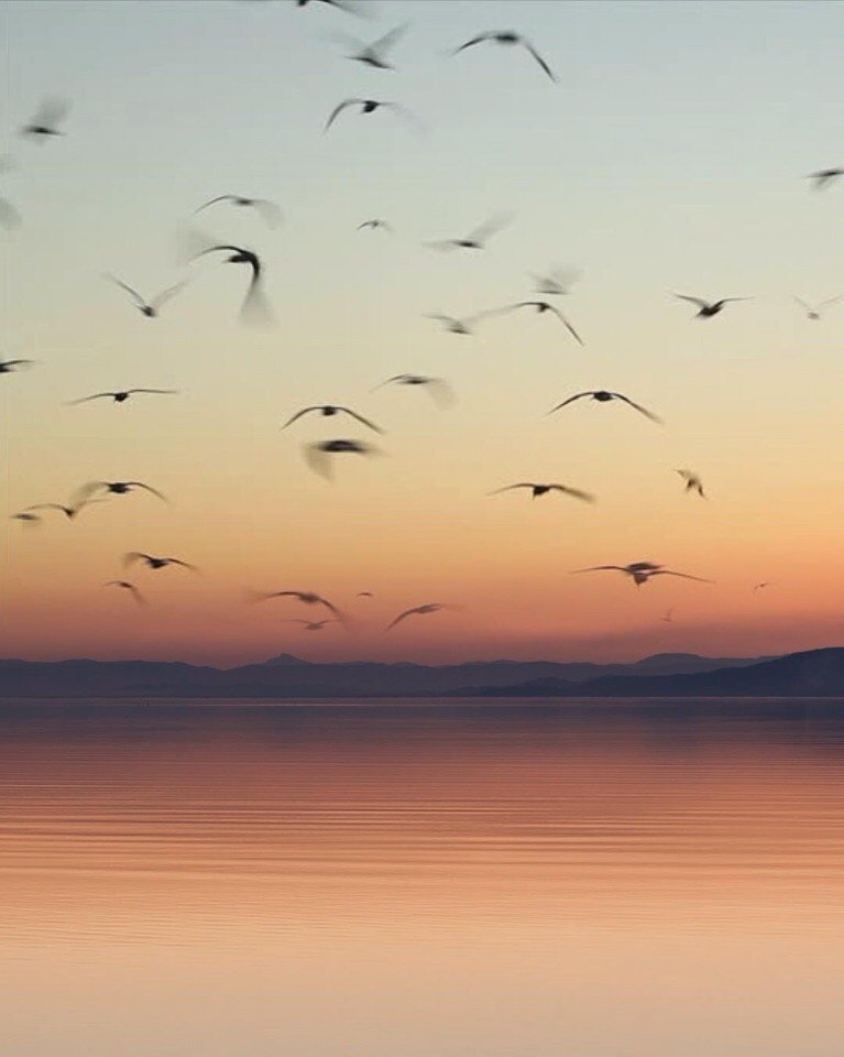 Закат в Дельтебре, Каталония, Испания - 8