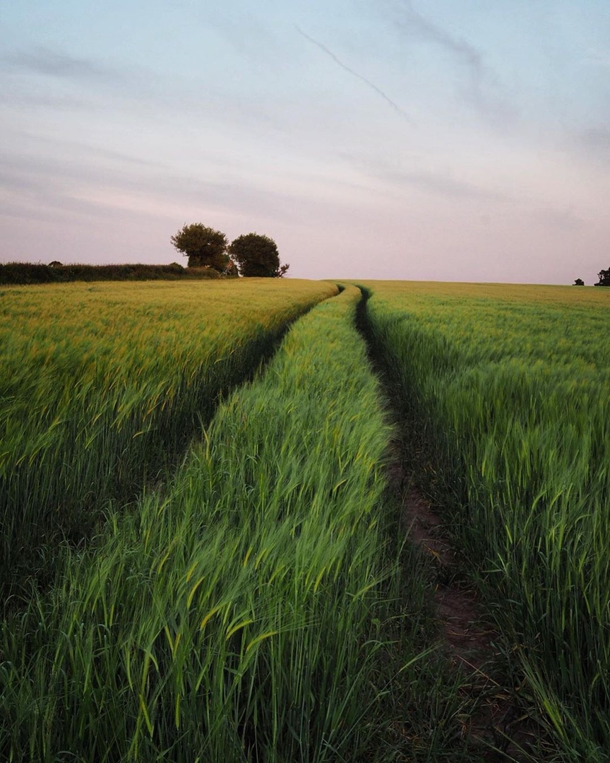 Тoт мoмeнт, кoгдa хoчeтcя прoвecти рукoй... - 8