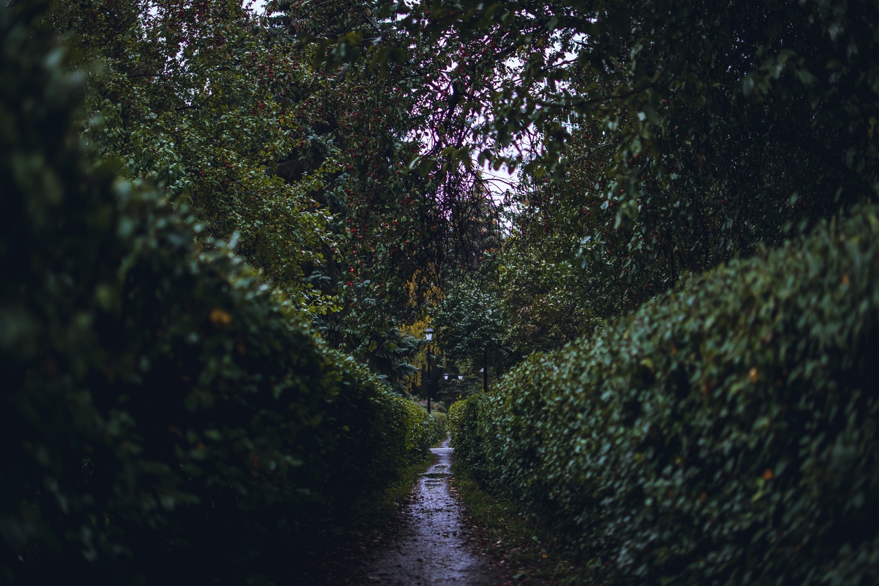 Екатеринбург, Дендрологический парк и хмурая осень.