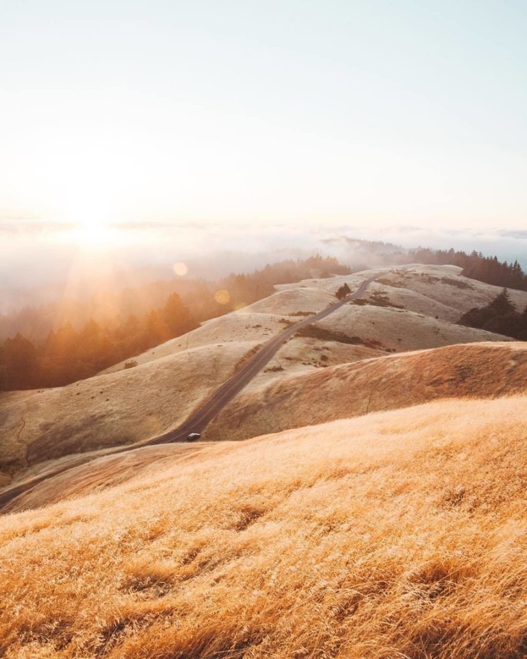 Солнечная Калифорния, США