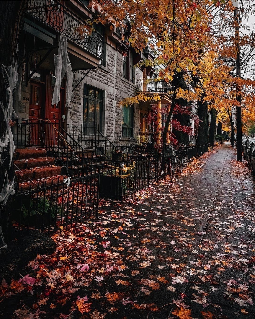 «Лучшие дни ещё впереди» - 6