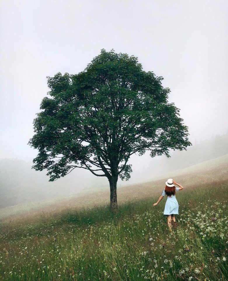 Карпаты - это тишина и умиротворение - 6