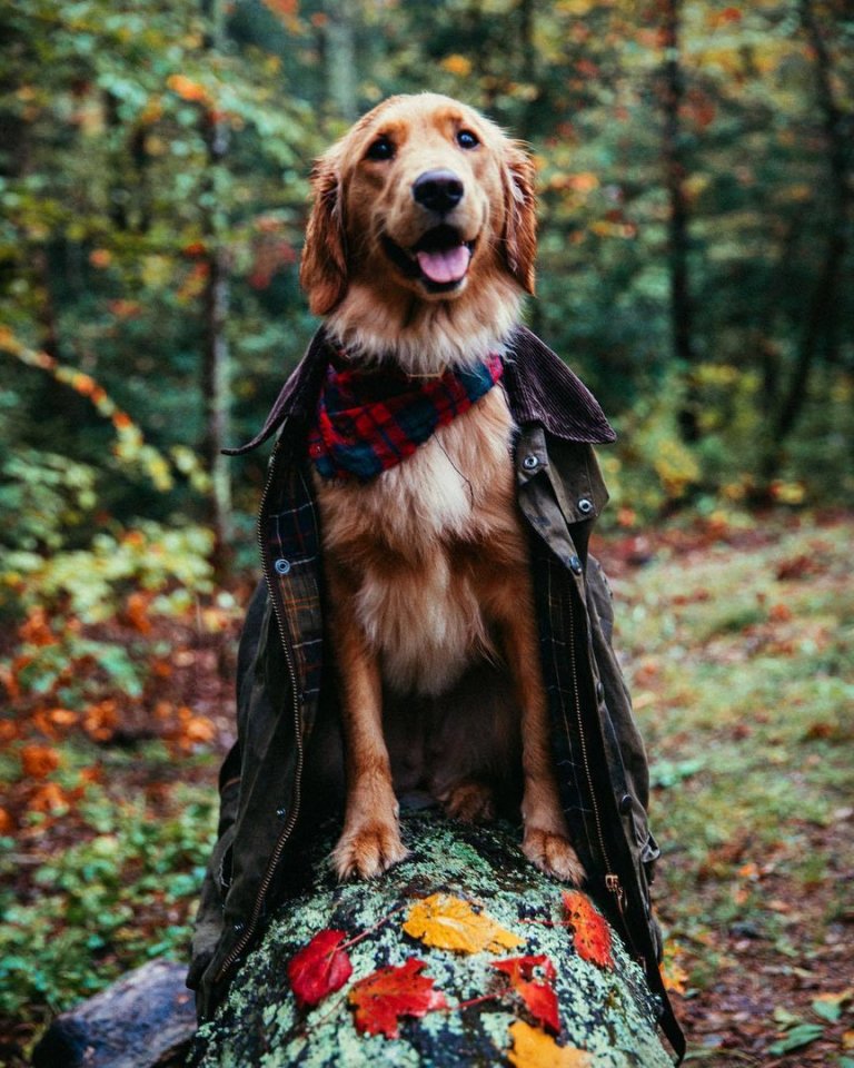 Живи с блеском в глазах, счастьем в душе и любовью в сердце! - 5