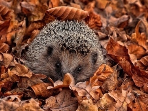Все будет. Не надо спешить.
Всему свое время. - 5