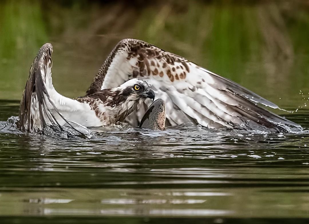 Когда рыбалка удалась - 5