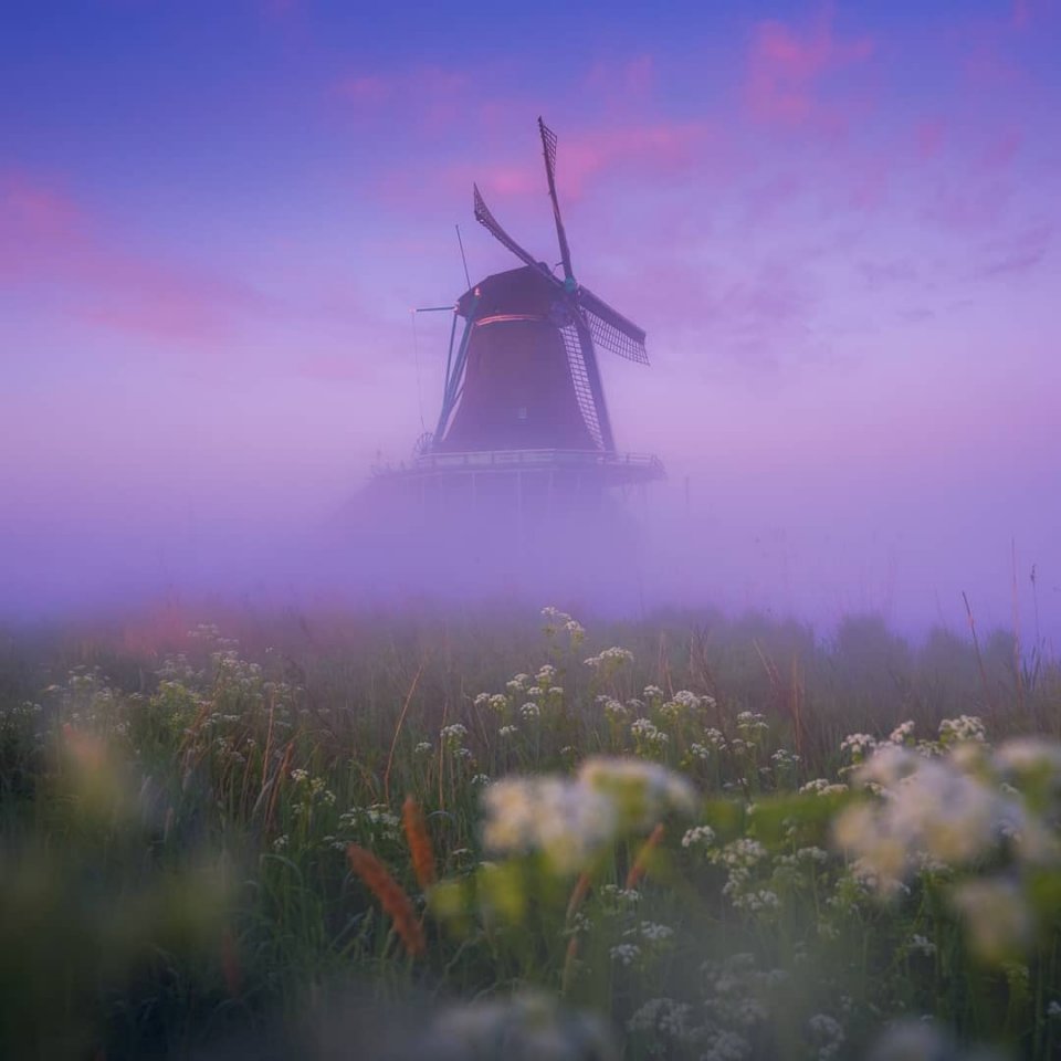 Туманное утро в Голландии