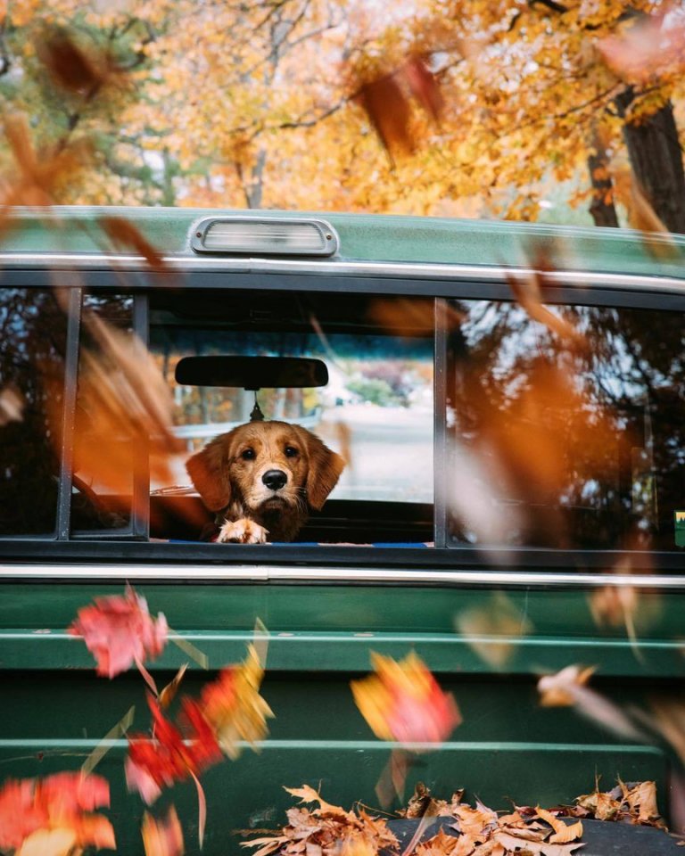 Живи с блеском в глазах, счастьем в душе и любовью в сердце! - 6
