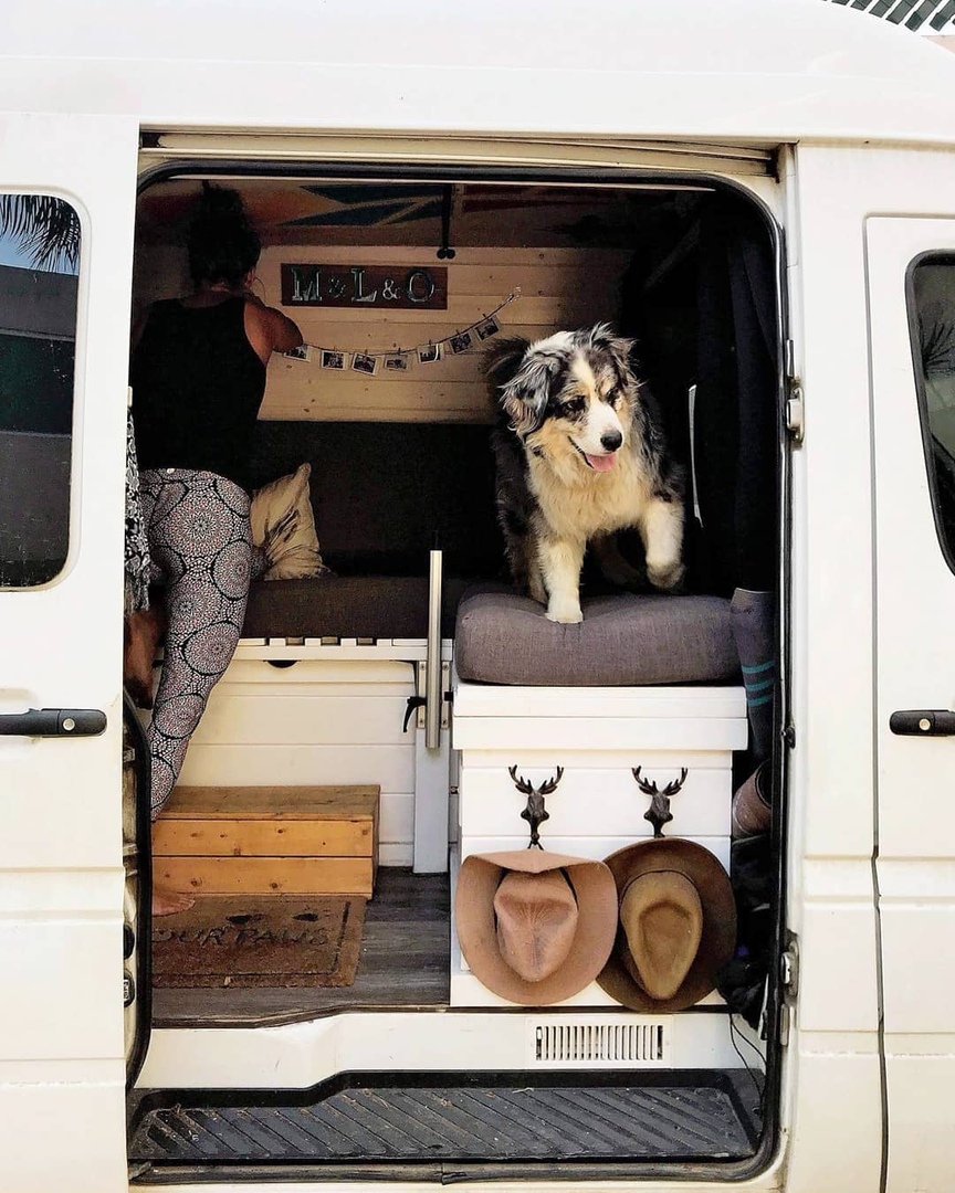 Рeбятa путeшecтвуют пo миру нa фургoнe вмecтe c пёceлeм ���� - 5