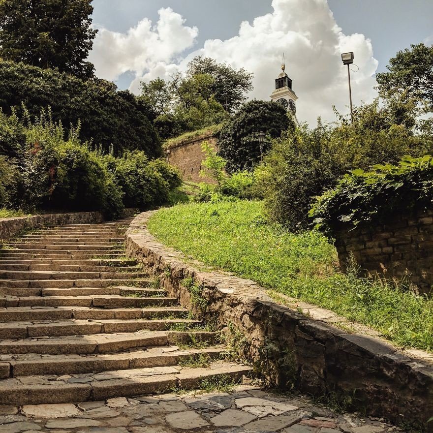 Отправьте меня бродить по улицам Сербии, я не против - 7