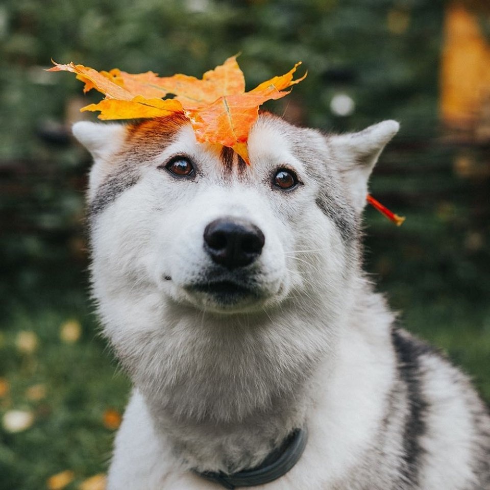 Всё самое лучшее случается неожиданно. - 6