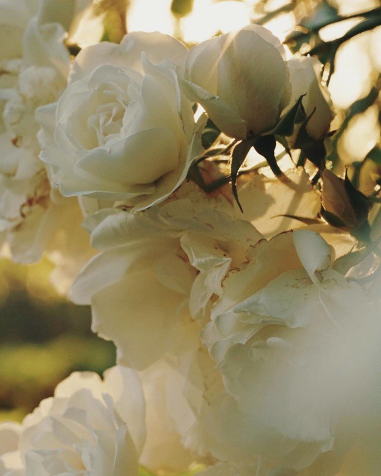 Ну разве Франция не великолепна? - 6