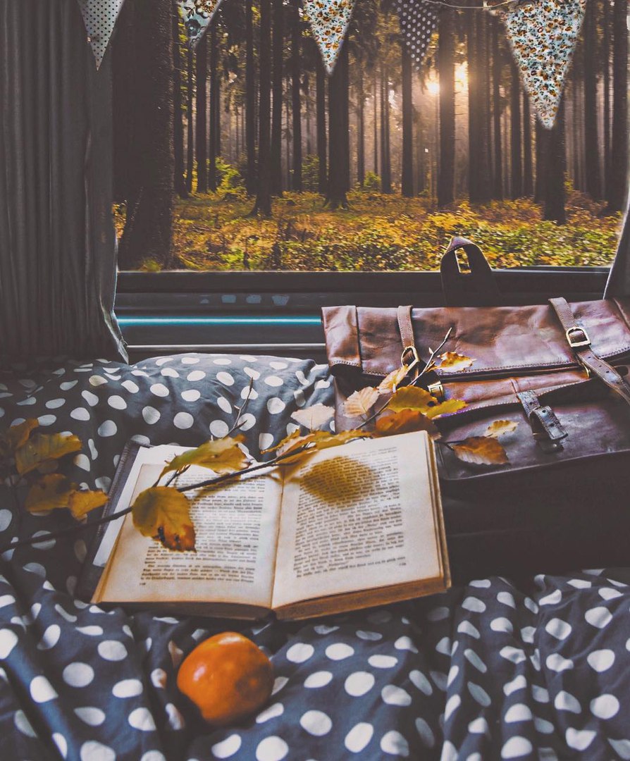 Туда, где нет городской суеты. - 5