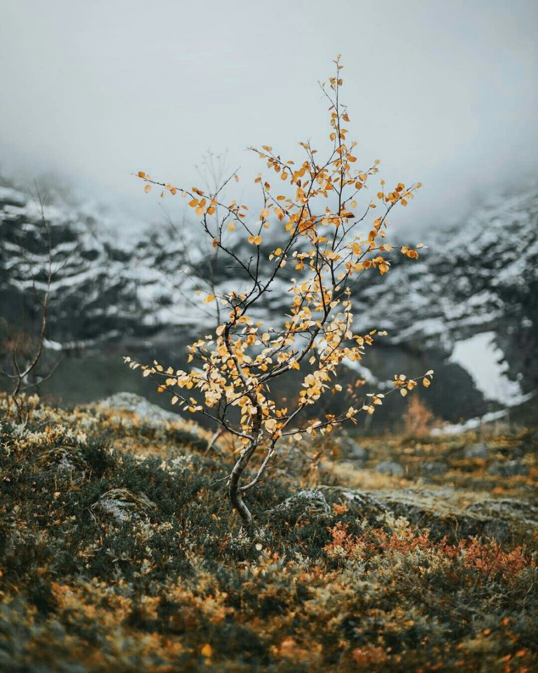 Хибины, Кольский полуостров - 5